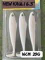 PA12