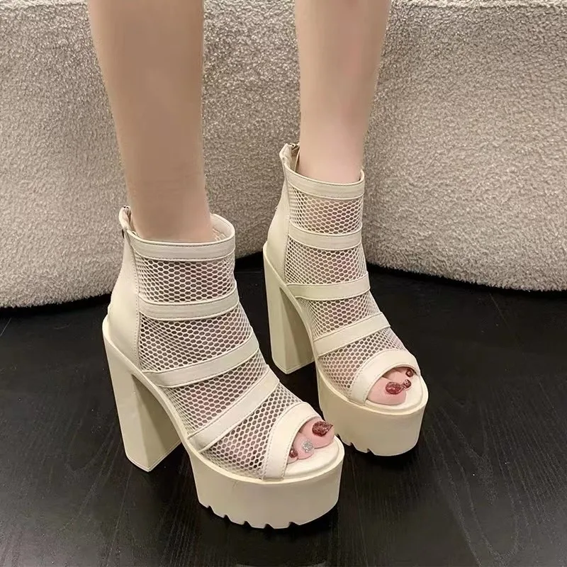 High Heels Gladiator Women Sandals Peep Toe Sexy Black Mesh Square Heel Platform Shoes 2023 Summer Womens Luxury Thick Sandals