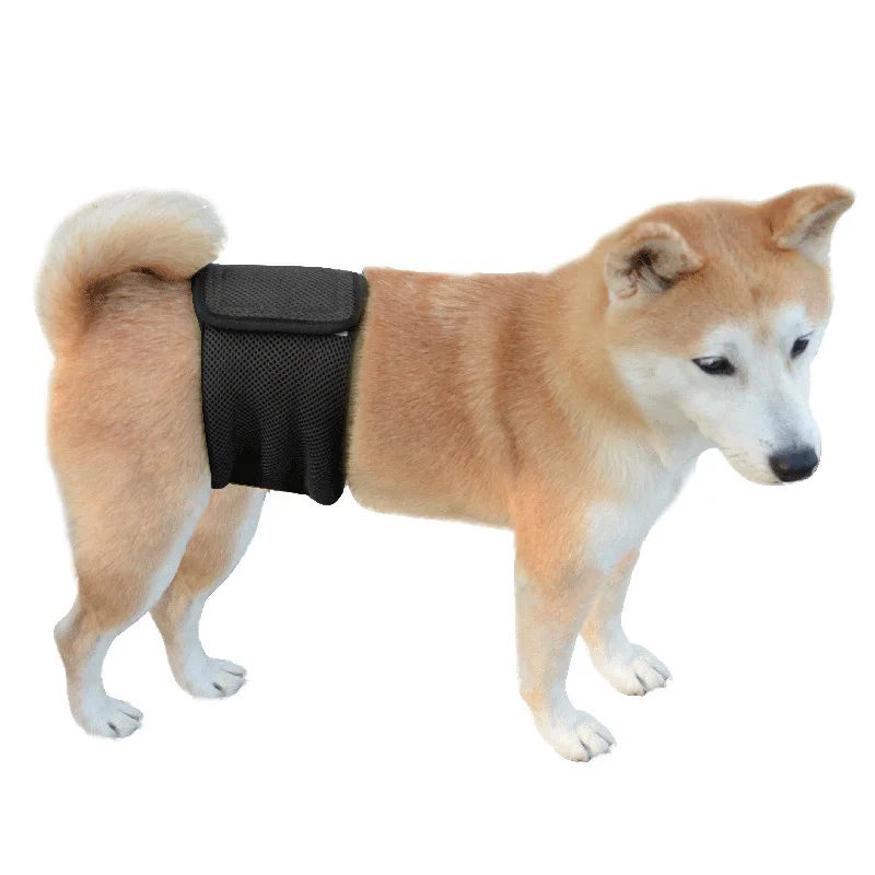 Breathable Mesh Net Hole Sandwich Solid Color Pets Breathable Male Dog Biological Pants Polite And Courteous Belt Anti-Harassmen