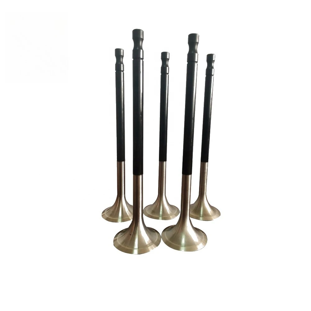 Marine engine parts MAN B & W L28/32 H intake valve