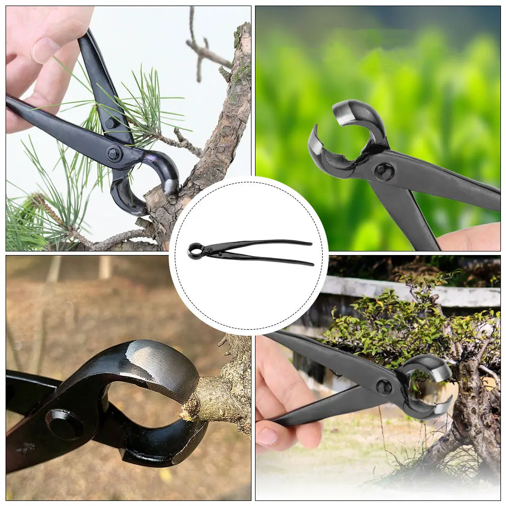 شجرة تشذيب القص حواف مقعرة دائرية عالية الكربون الصلب بونساي مقبض القاطع حديقة فرع عقدة القاطع للشجيرات #6