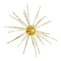 Flash Gold