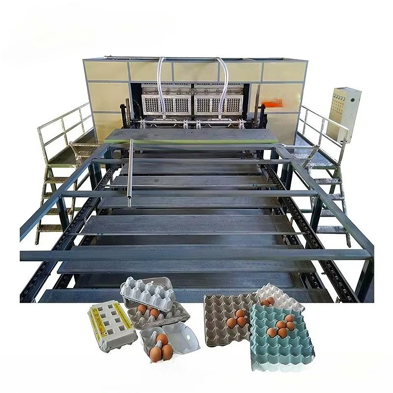 Reliable Industrial Grade Egg Tray Manufacturing System Low Maintenance Design Customized  for Long Term Egg Packaging Supply