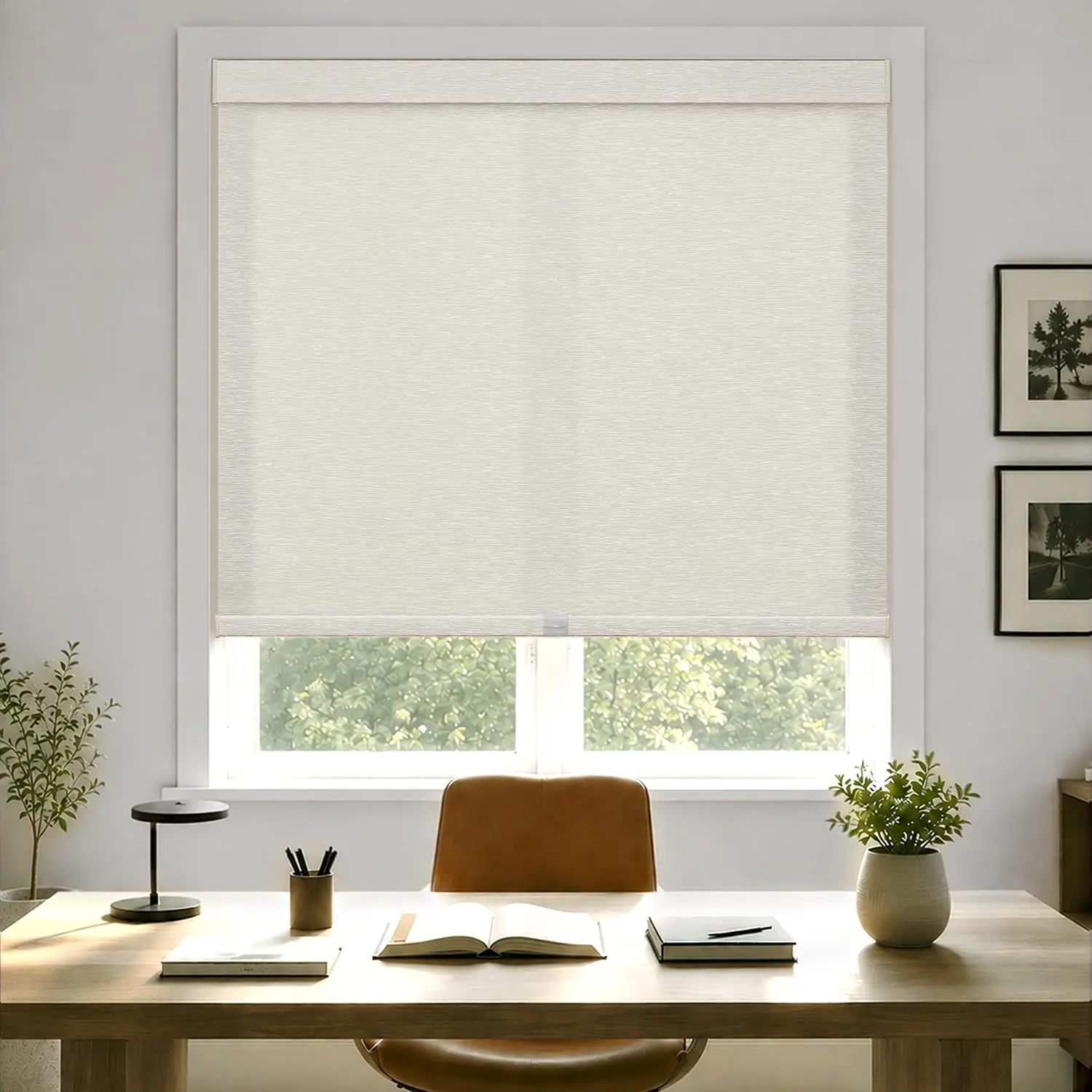 Light Filtering Roller Shades for Windows, 71