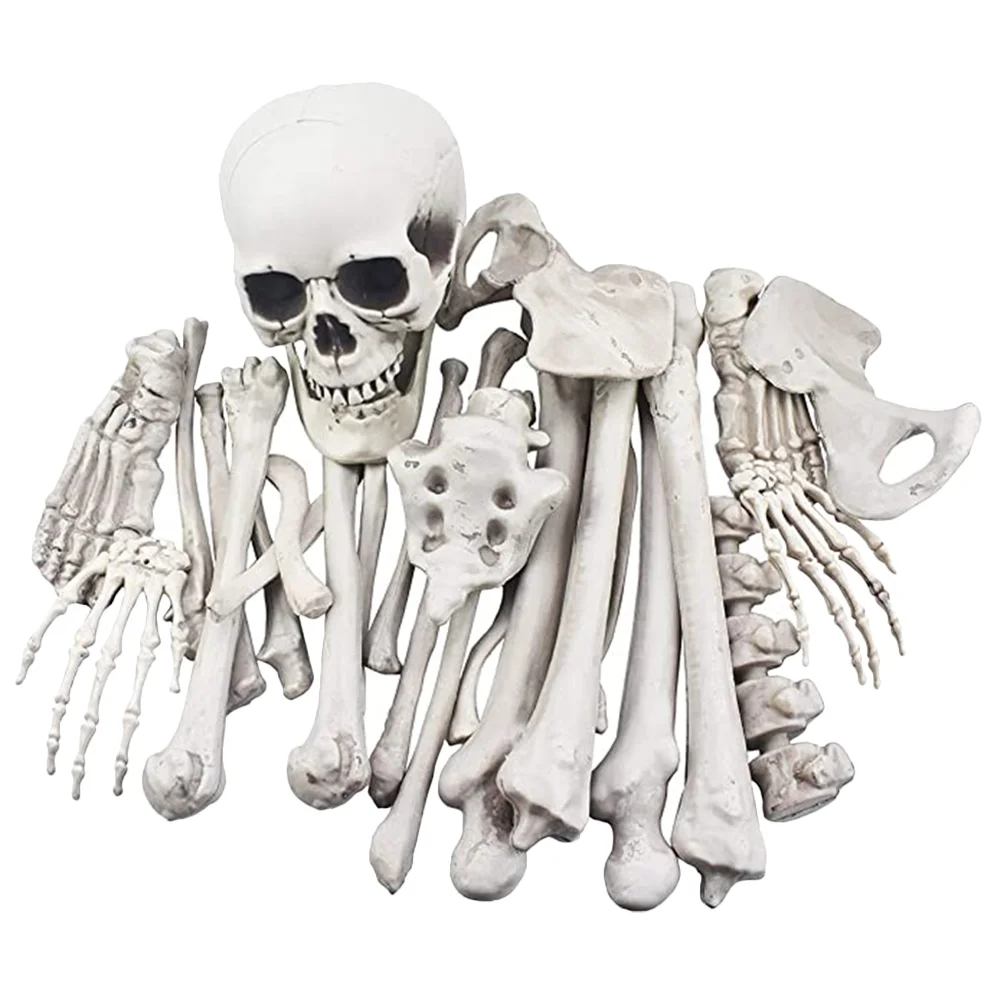 

Halloween Decor 28 Pieces Plastic Humans Skull Decoration Ornaments Statue Bones White