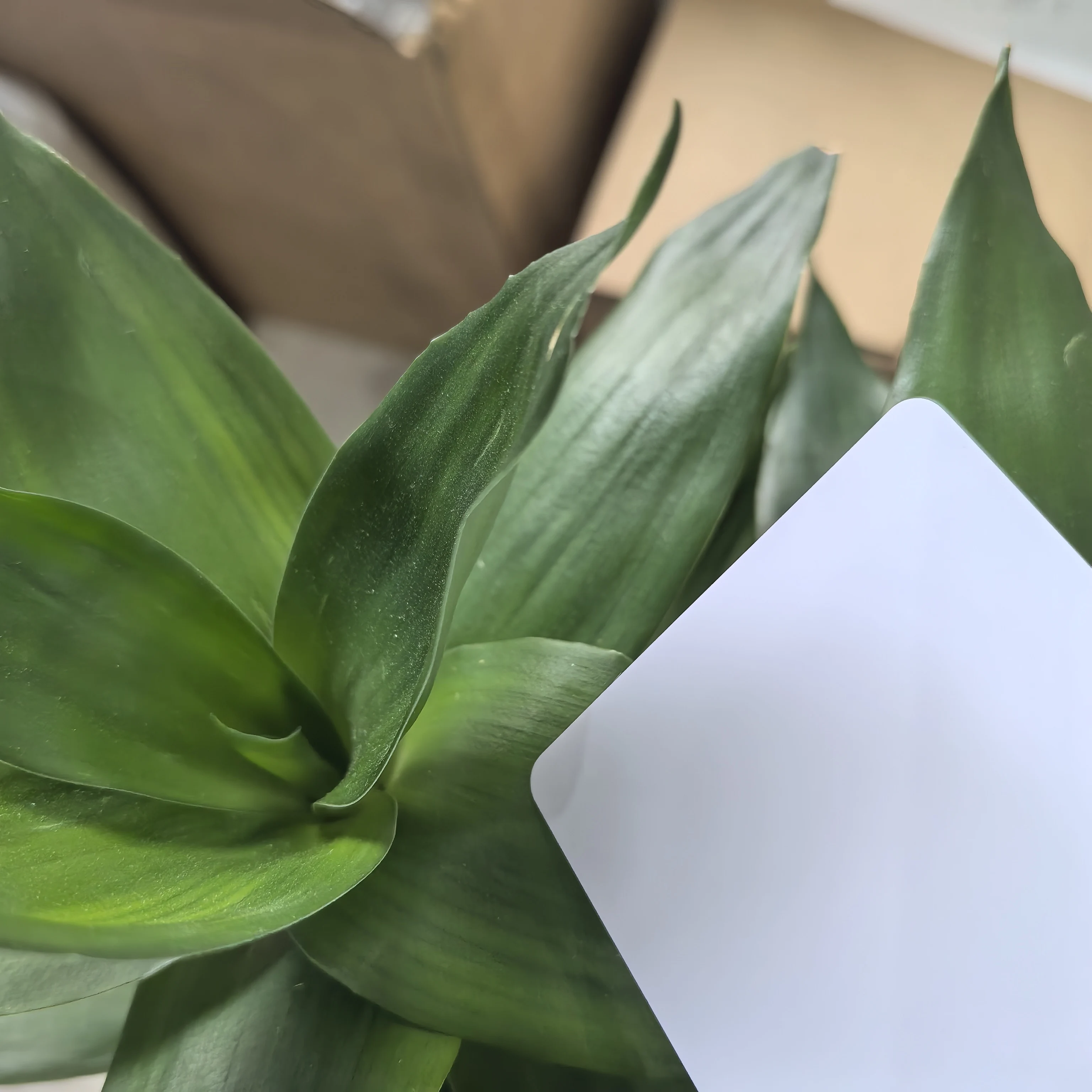 230 stks Witte Lege inkjet afdrukbare PVC Kaart Waterdichte plastic ID-kaart visitekaartje geen chip voor Epson voor Canon Inkjet printer