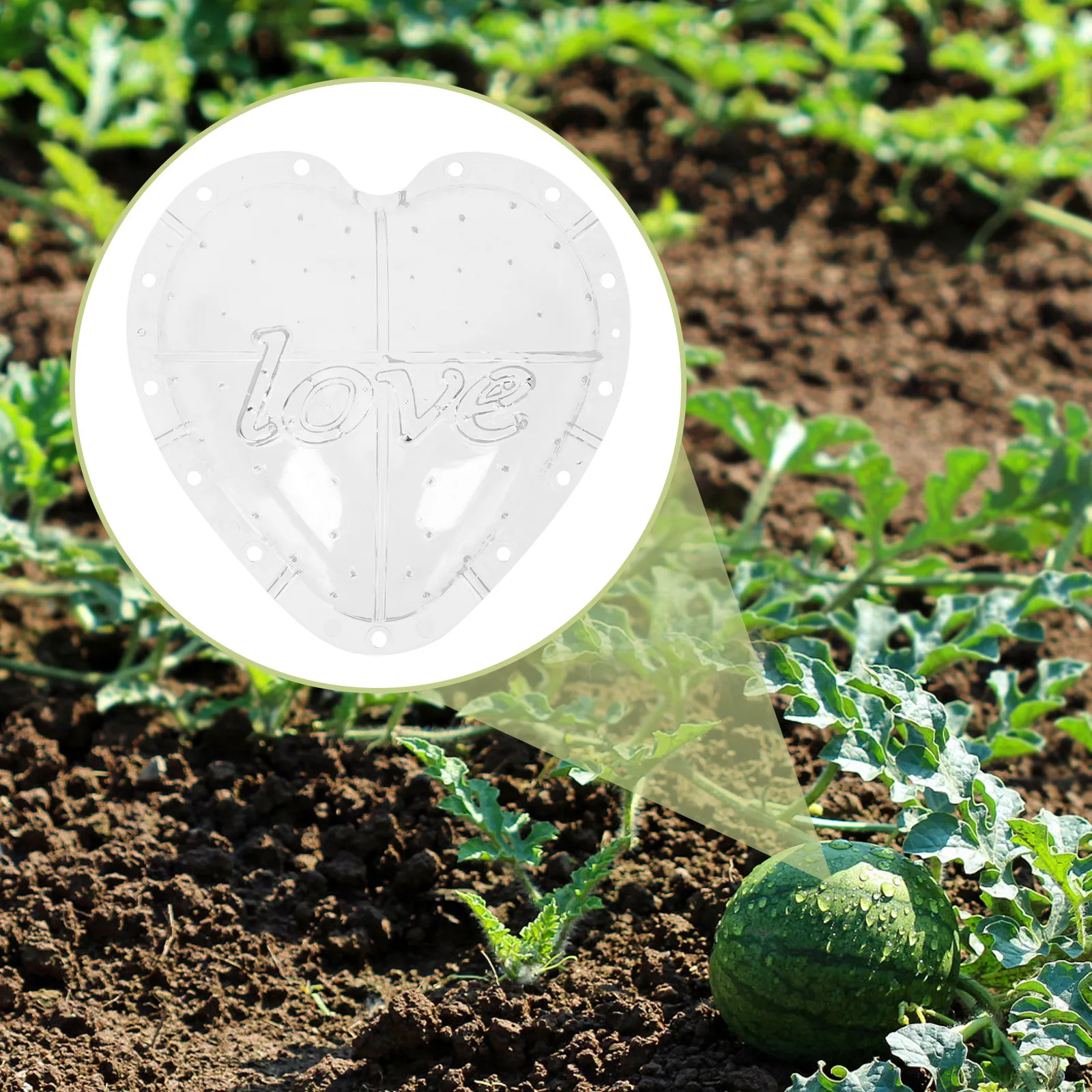

Watermelon Growing Mold Heart Shaped Pc Material Fruit Shaping Mold Yard Garden Fruit Forming Tool Outdoor Melon Shaper