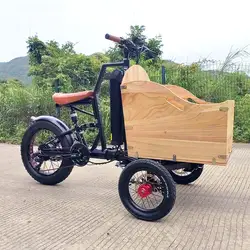 New design 3 wheel electric bicycle 48V three wheels adult cargo 250w 350w 500w 750w electric bike with basket