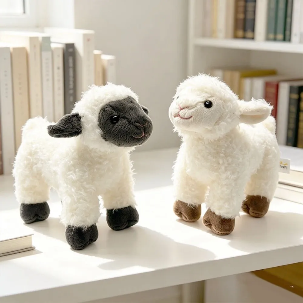 20cm Size Lamb Soft Fluffy Touch Curly Cream White Sheep Simulated Animal Design Black Face Detail Animal