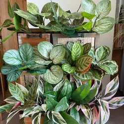 Fake Plants Leaf Apple Evergreen Peacock Leaves Plant Home Decor Plastic Artificial Green Plants  Greenery Garden Decoration