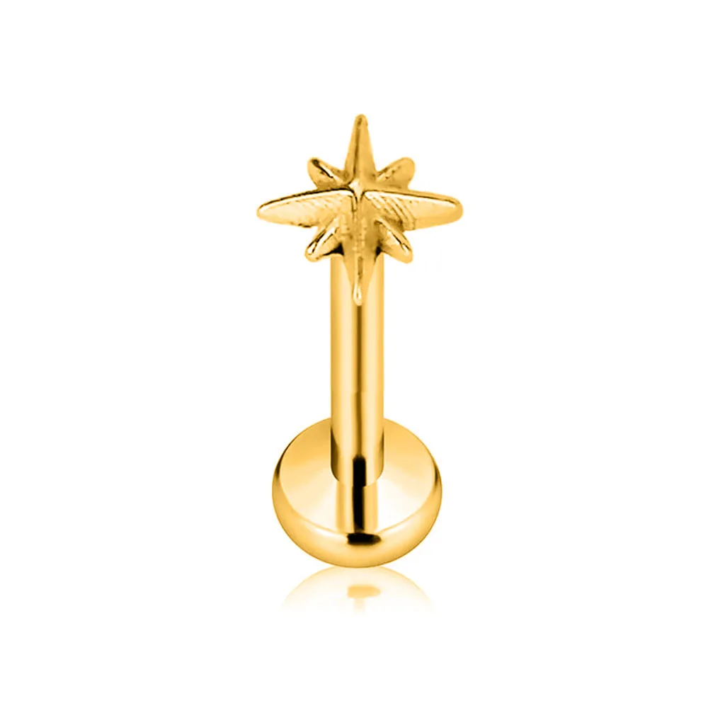 G23 Titanium Star Heart Threadless Labret Stud Earring