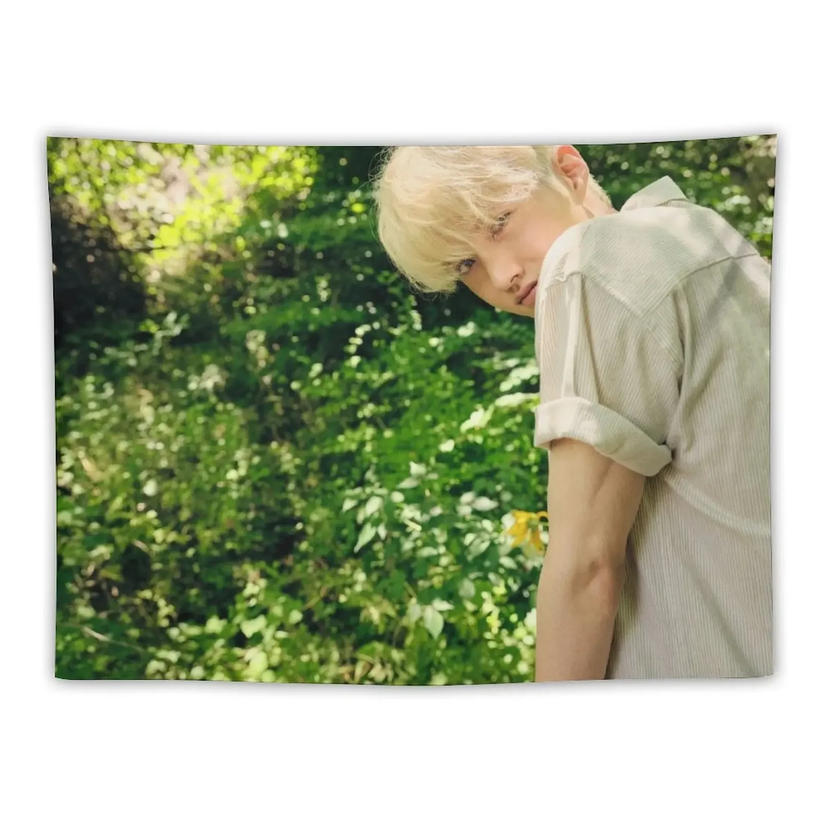 

PENTAGON HUMPH! YEO ONE Tapestry Room Decorating Aesthetic Home Decorations Aesthetic Tapestry