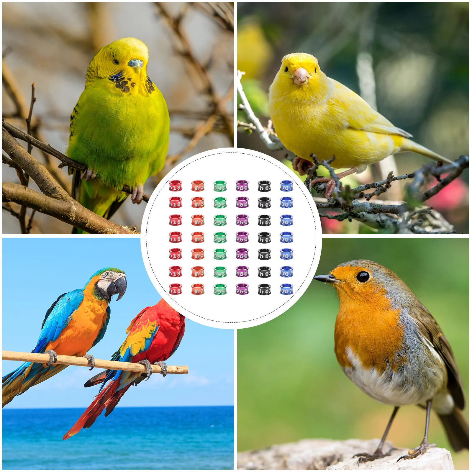 

50Pcs Metal Bird Foot Rings Numbered Leg Bands for Parakeets Cockatiels Canaries Pigeons Parrots Lightweight Alloy Ring Smooth