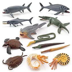 12 PCS Realistic Mini Ancient Marine Animal Model Figures Prehistoric Cambrian Sea Creature Figurines Educational Science set