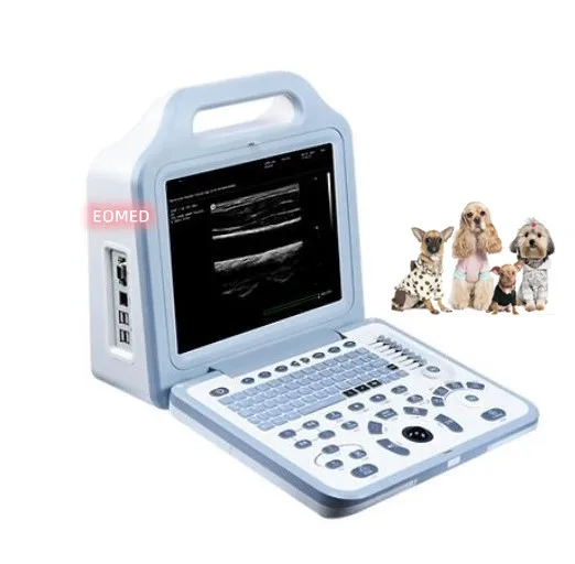 Low price animal pet Veterinary B/W ultrasound machine siterite vascular ultrasound with Designed Presetting & Body Marks BW21Bv