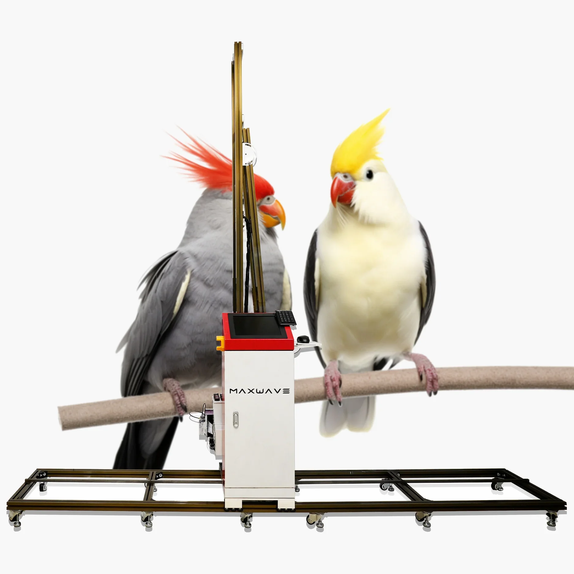 Maxwave حار بيع عالية الجودة الأشعة فوق البنفسجية الحبر 5 ألوان آلة طباعة الحائط ديكور المنزل الإعلان طابعة الحائط العمودية