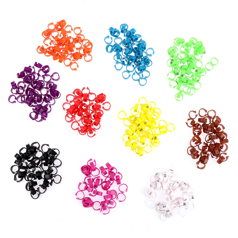 100PCS anello per piede di pollo dimensioni regolabili gamba per pollame etichetta digitale anello con fibbia 6 colori plastica pulcino anatra oca attrezzatura agricola