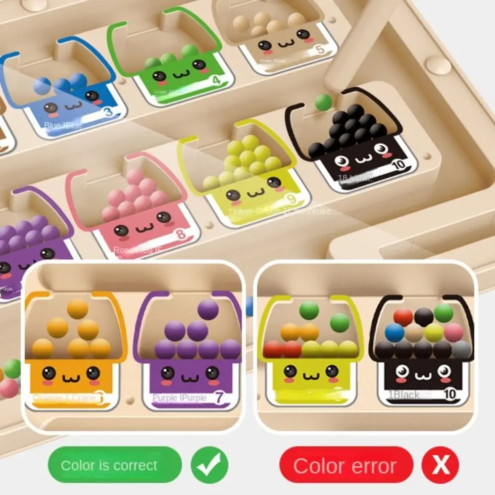 Gioco di posizionamento in legno 2 in 1 Montessori Giocattoli per addestramento alla concentrazione per bambini Giochi di smistamento dei colori magnetici colorati