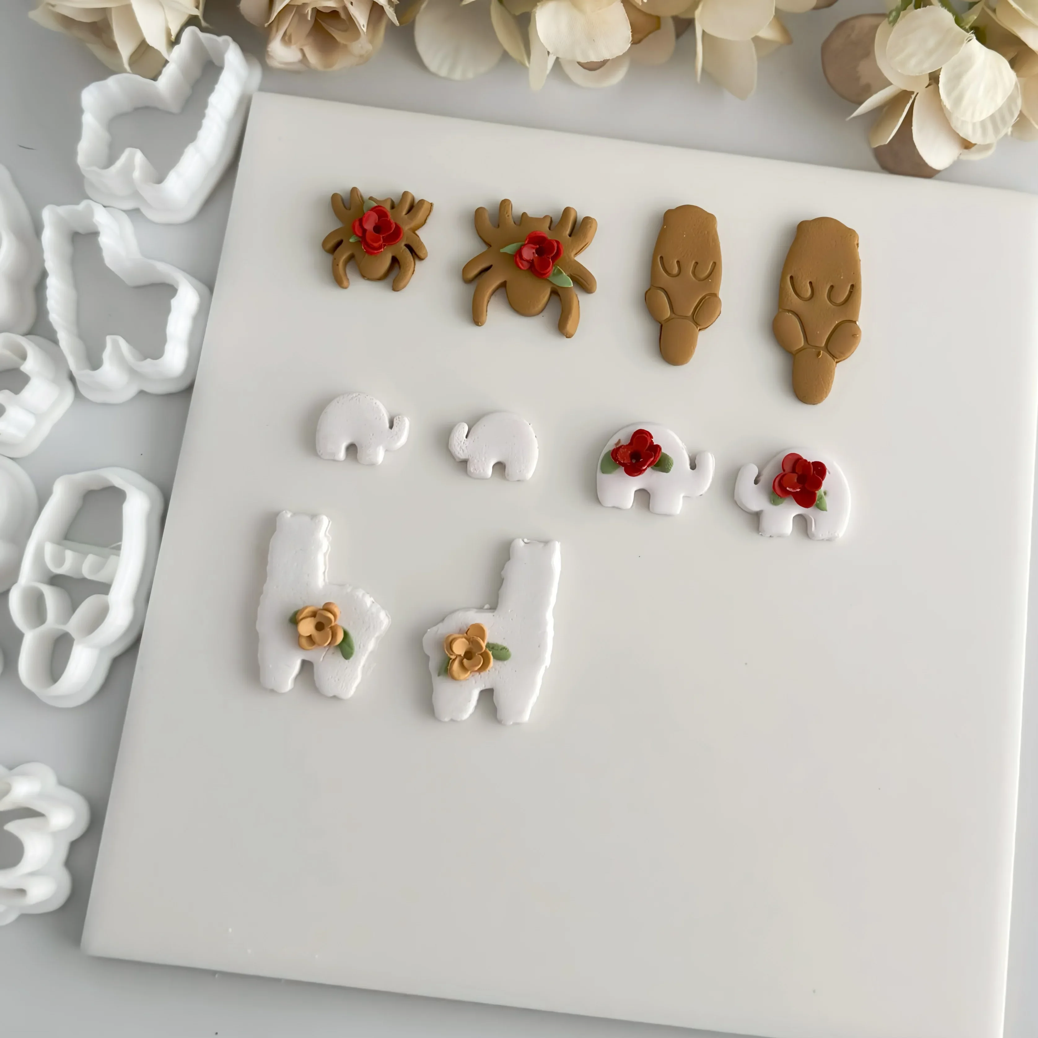 Animal Series/Koala…