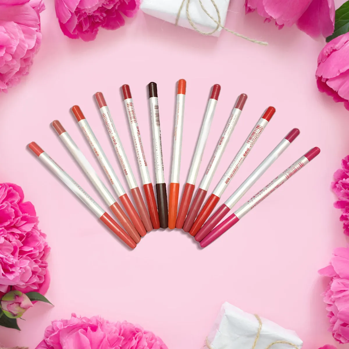 12Pcs Lip Liner Pen Set Easy to Draw Thin Lines Oil Control Smudge Proof All Day Wear Lip Pencil Eyeliner Pen Multi Color Makeup