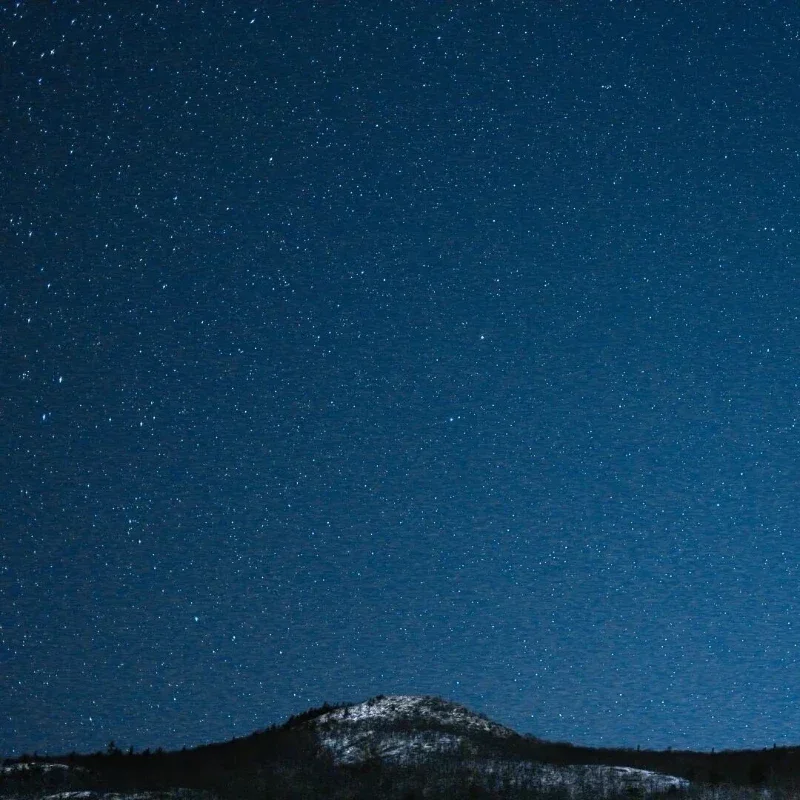 compensare le merci all'asta, le spese di spedizione, la differenza di prezzo