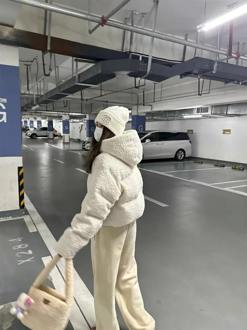 Women\'s Imitation Lamb Wool Hooded Parka Thick Warm Cotton Jacket Female Clothing Design Short Coats 2024 Winter Clothes