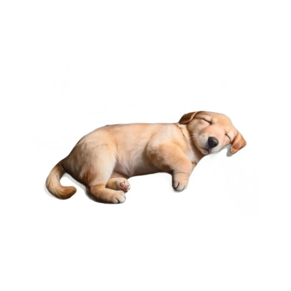 Plush Material Animal Body Pillow 40cm Size Soft Texture Poultry Throw Pillows Cat Pattern Cute Design Animal Cushion Doll Toys