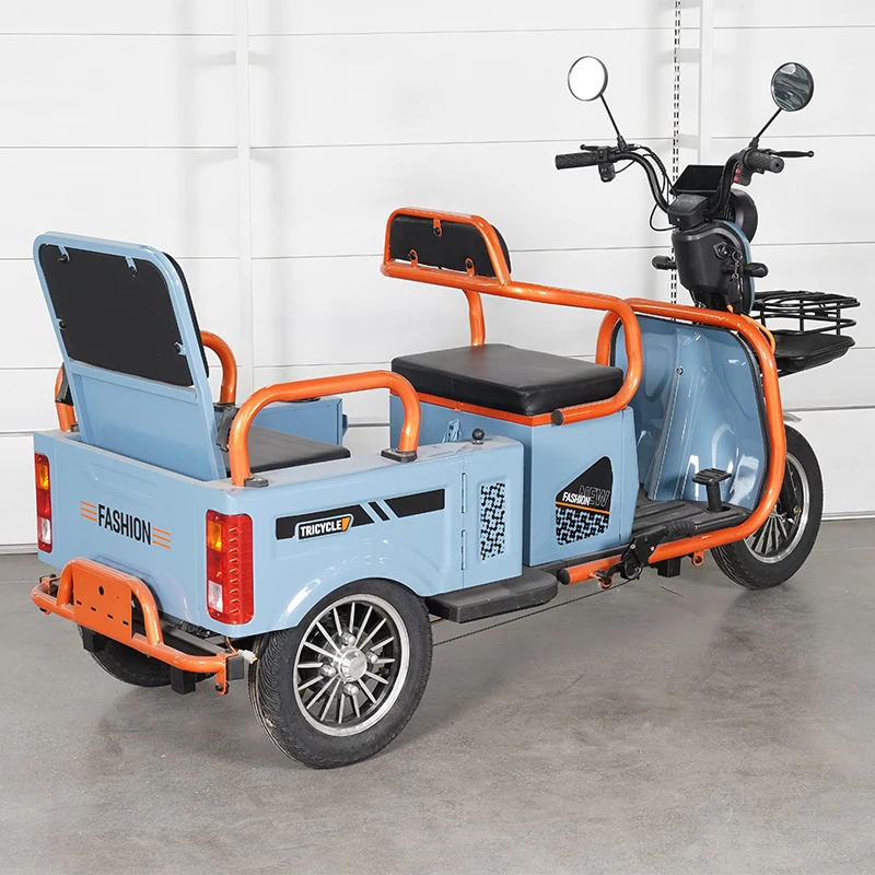 

14 inch Vacuum Tire electric bike 3 wheels electric cargo bike 48V 600W electric tricycle
