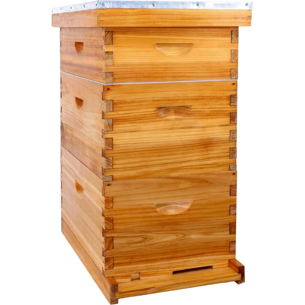 Beehive 8-Frame Bee Hives and Supplies Starter Kit, Honey Bee Hives Includes 2 Deep Bee Boxes 2 Medium Bee Hive Boxes