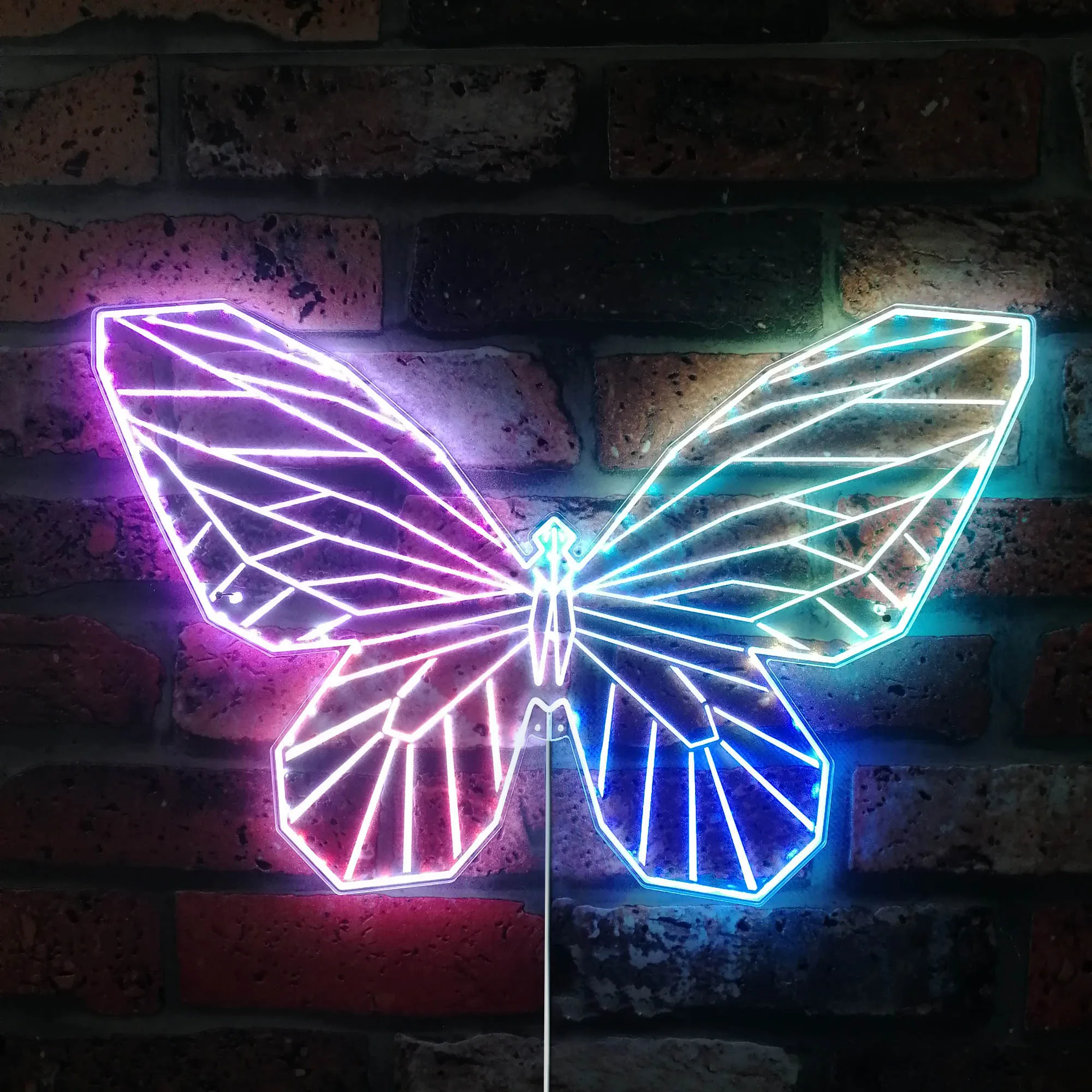 

Butterfly Geometric Insect Glam Led Neon Sign st06-fnd-i0005-c