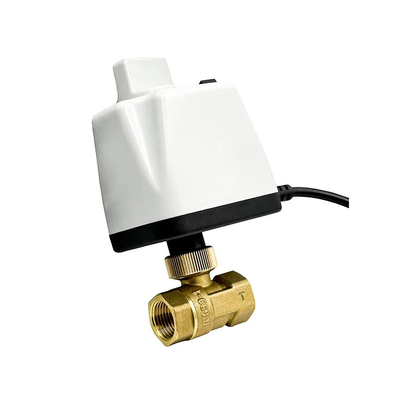 

1/2" Normally Closed Motorized Ball Valve 220V 12V 24V 2-Wire Brass Electric Ball Valve With Manual Switch