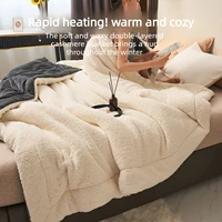 Super Soft Imitation Lambswool Autumn Winter Blanket Double Queen Blankets High-quality Comfortable Milk Fleece Sofa Blanket 3