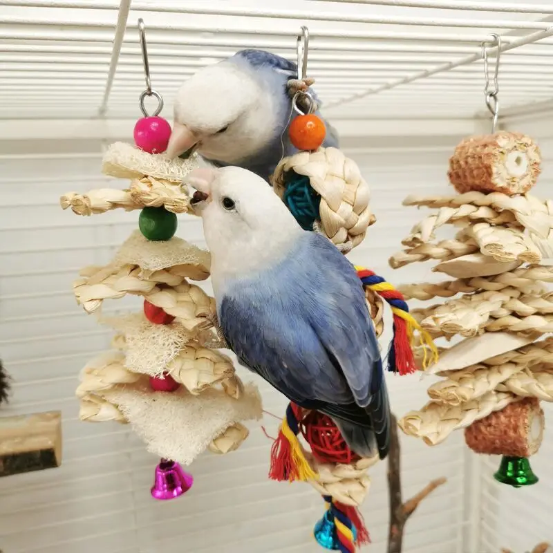 Natural Parrot Chew Toy 6