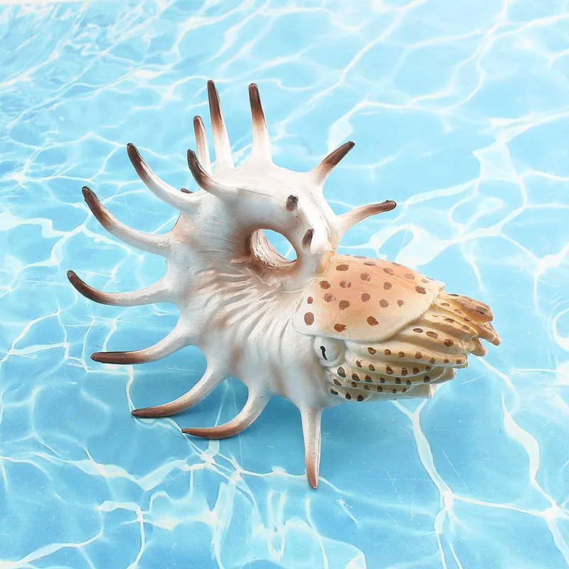 Children Cognitive Toy Simulation Marine Life Hollow Ridge Nautilus Model Sand Tray Decoration Desktop Decorative Ornaments Gift