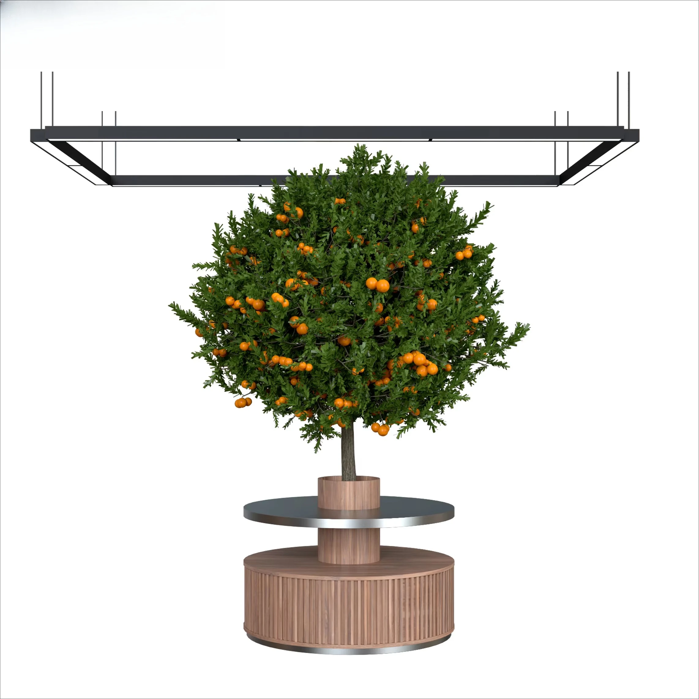 Modern Bakery Display Shelf with Botanical Design for Cake Shop Vegetables Fruits