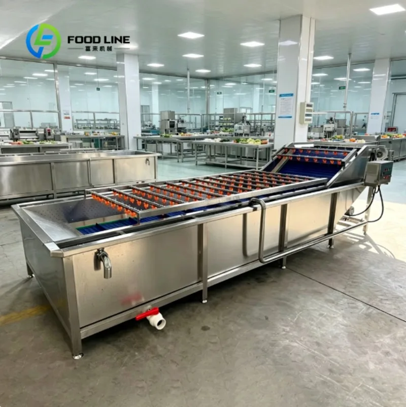 Bubble Washing Machine Automatic Vegetable Fruit Cleaning Equipment for Food Processing and Packaging Plants