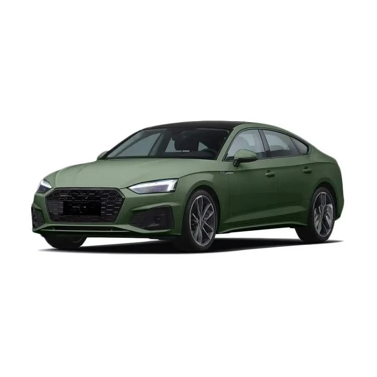 Chinese Brand Luxury Sedan Convertible 2.0-2.5L Gas/Petrol Automatic Sunroof Keyless Entry R19 Dark Seats LED Lights New