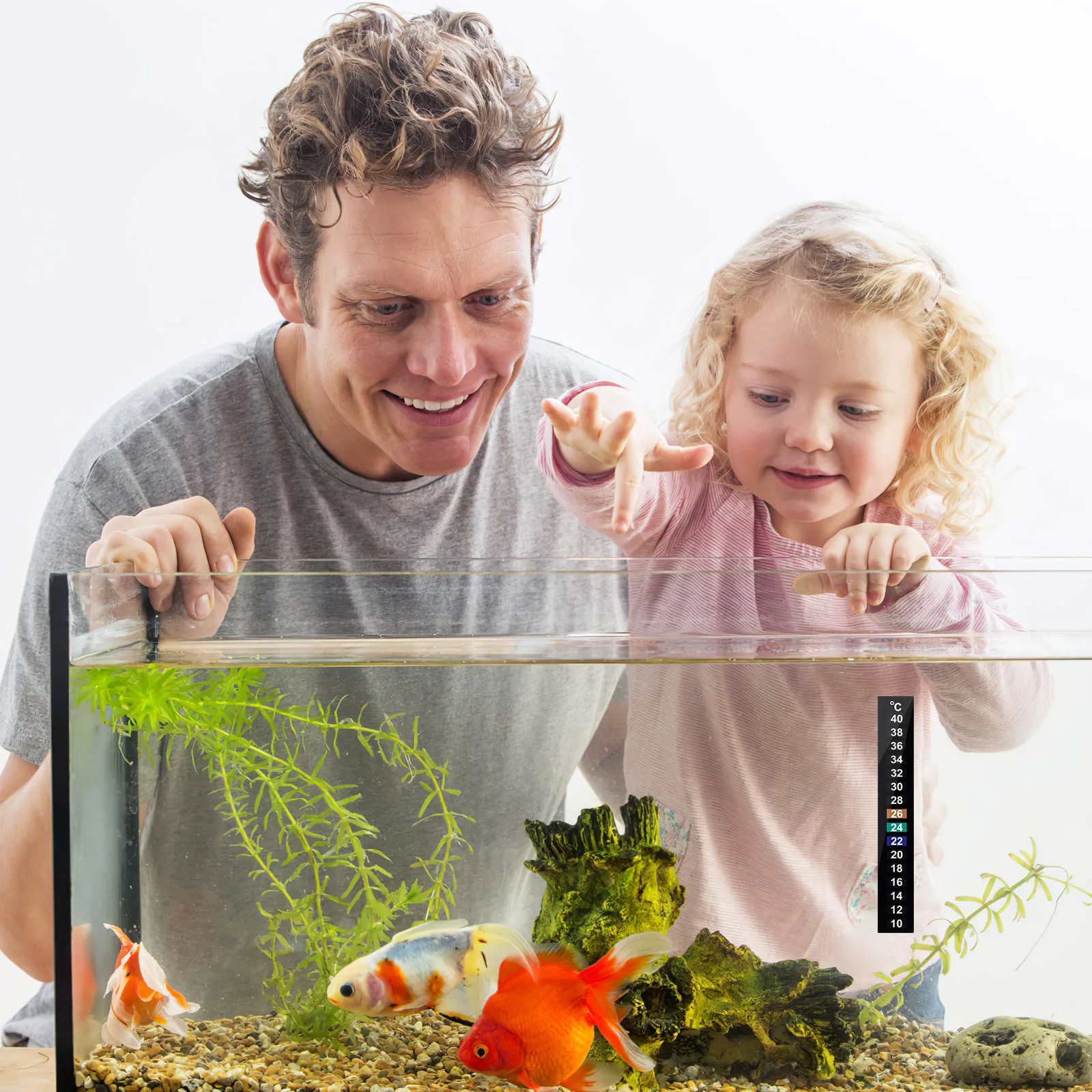 

10Pcs Liquid Crystal Thermometer Strip Color Changing Aquarium Temperature Indicator Fish Tank Brewing Essential