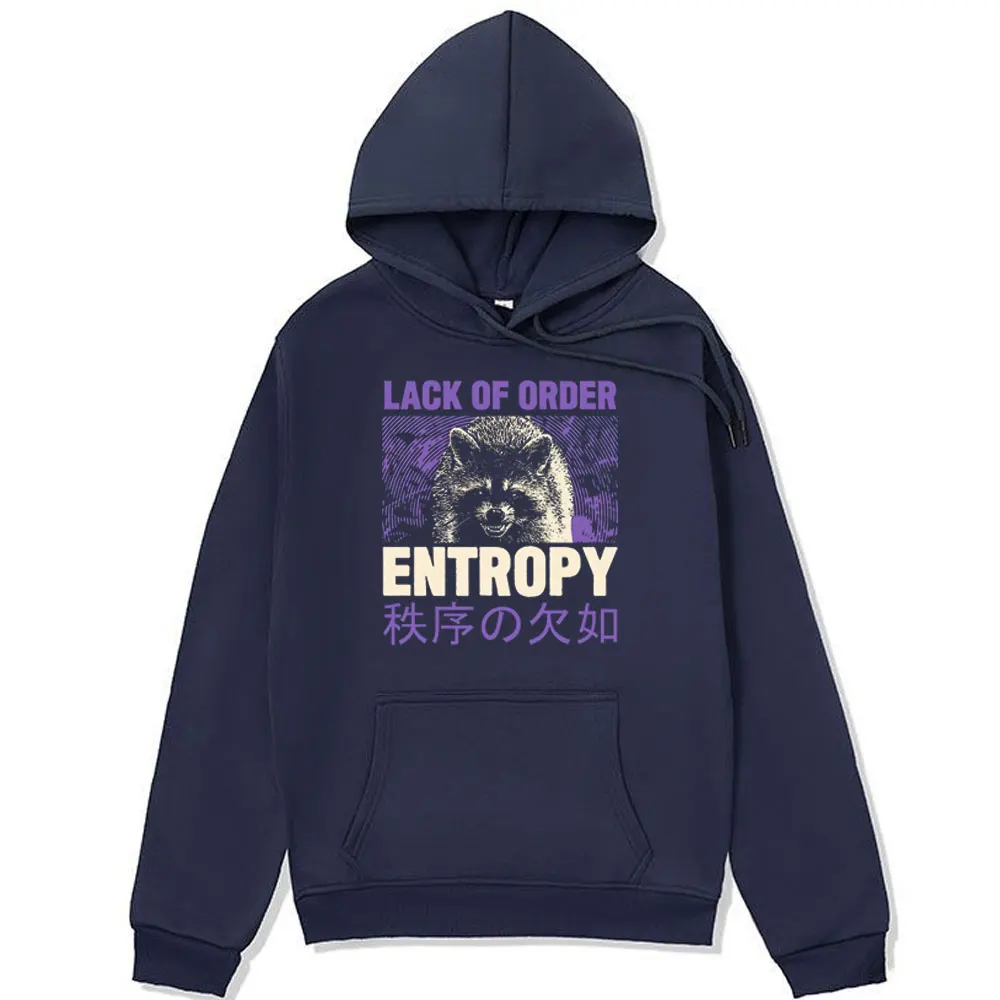 Entropy Raccoon Funny Hoodies Men Women Clothes Lack OF Order Graphic Print Sweatshirt Fashion Oversized Long Sleeve Pullover