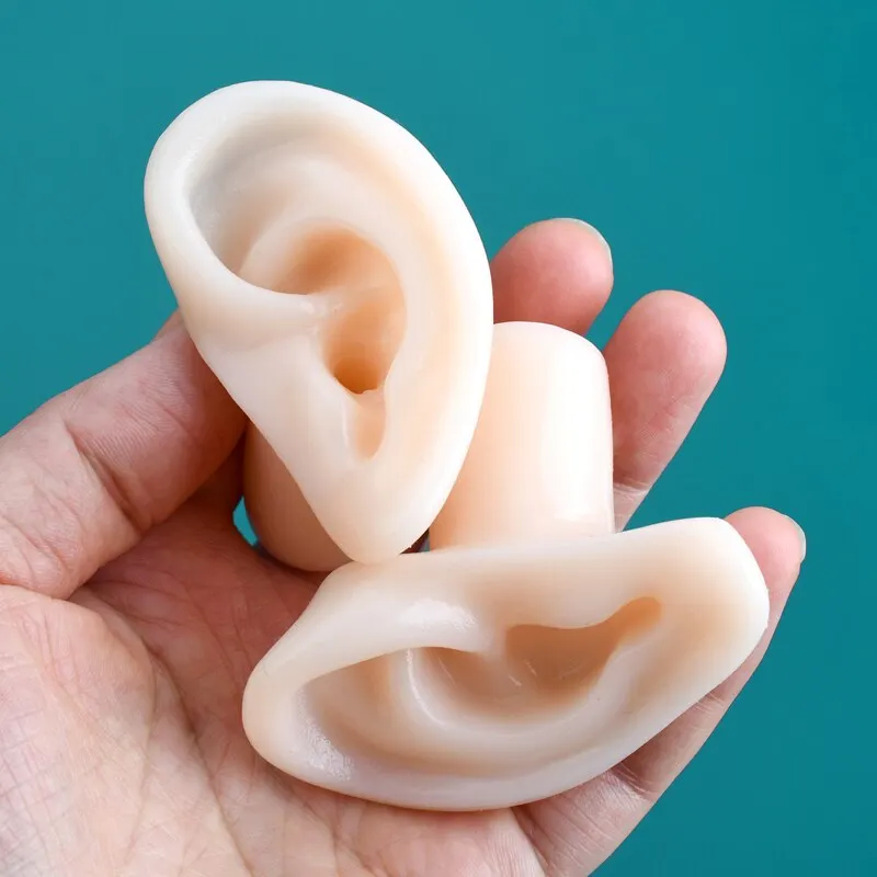 Tianyi  picking teaching model simulation human soft silicone ear picking  training long canal 1:1 false