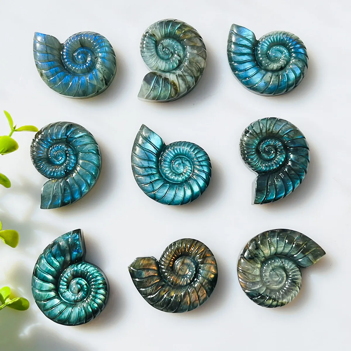 Ashmita 3PCS 45mm Natural Labradorite Ammonite Carving Flashy Crystal Shell Figurine Reiki Healing Stone Pocket Decor
