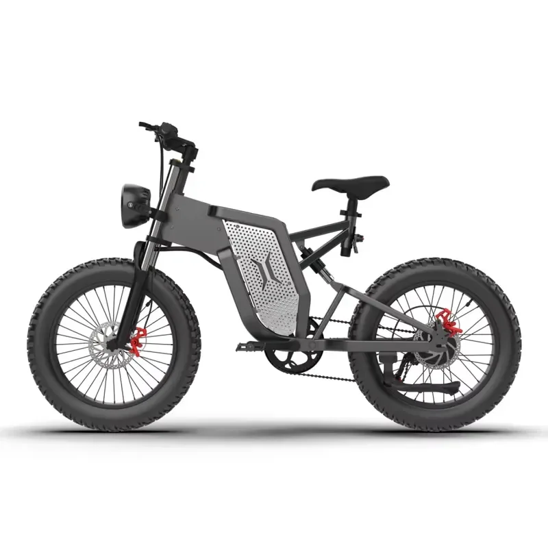 High Speed Electric Bike with Fat Tires Powerful Motor for Adult Commuting Off Road Mountain E Bicycle Long Range Battery
