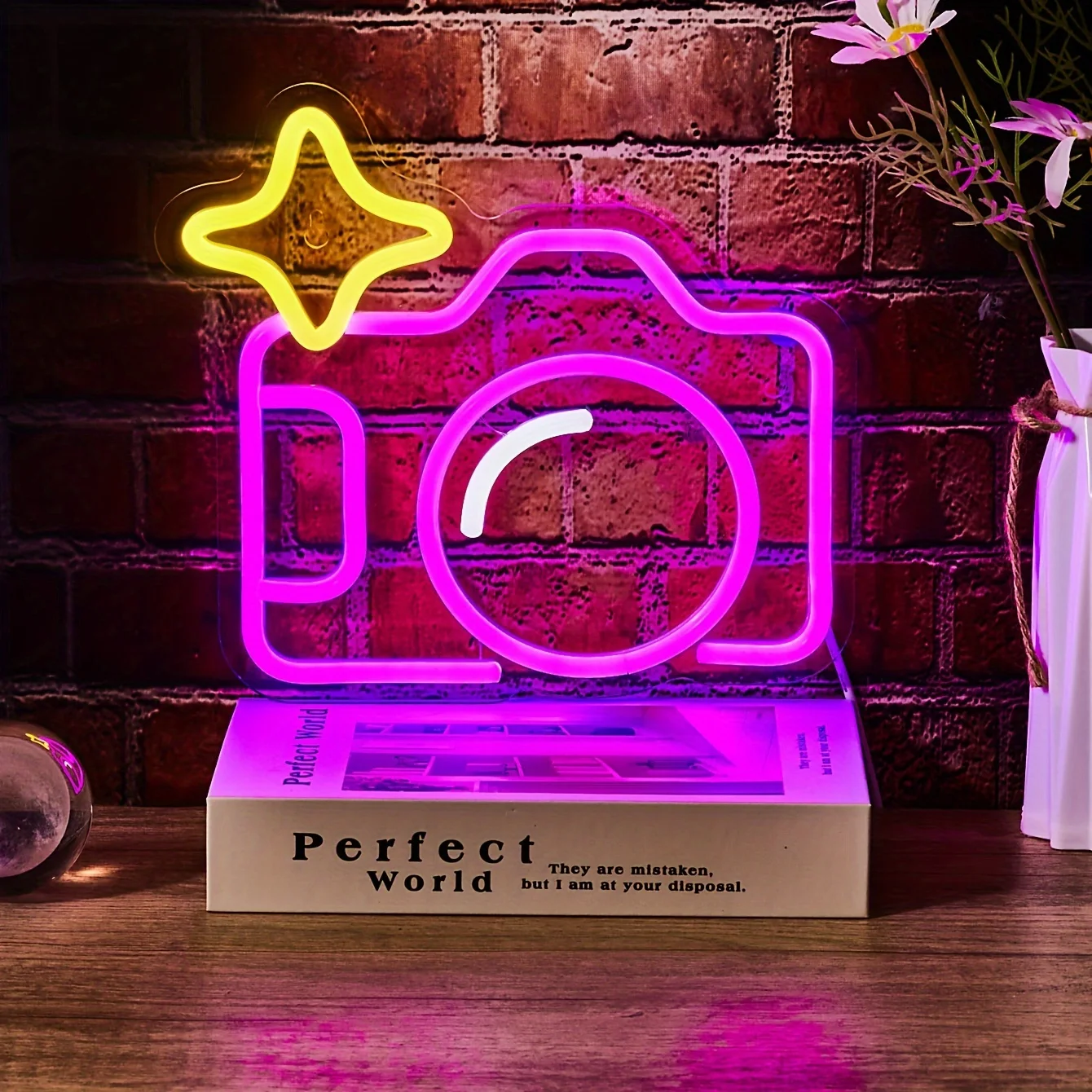 1pc Camera Back Plate Neon Light, Wall Party Bedroom Game Room Sports Festival 5V USB Powered