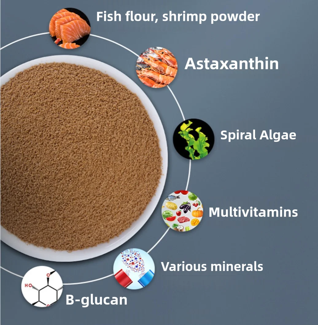 KOOI Bettas Fish Feed All stages Adding High-Quality Protein Is Easy To Absorb And Digest