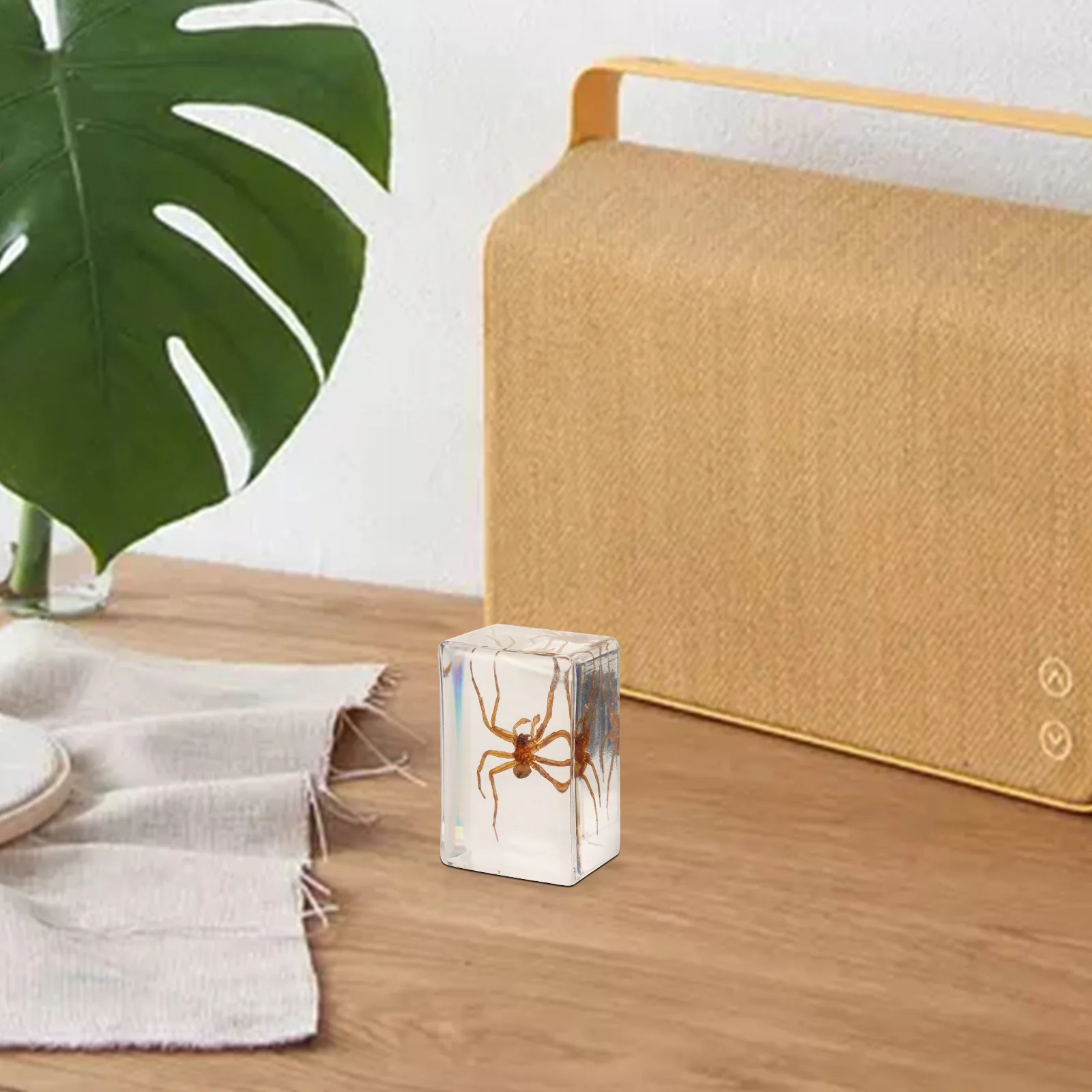 

2Pcs Resin Insect Paperweight Decorative Spider Home Table Decor Multi-Function Resin Ornament Craft Insect Paperweight