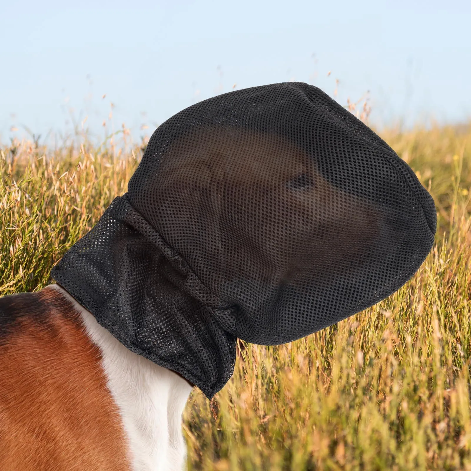 Mesh Dog Mask Adjustable Insec - Outdoor Adventure Walks ulasan dan harga
