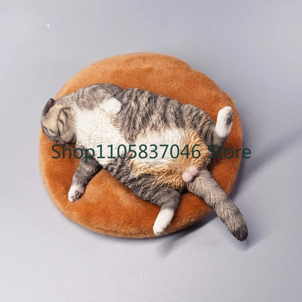 Sleepy Model Car Ornament Cute Healing Pet Sleeping Desktop Decoration Handmade Creative