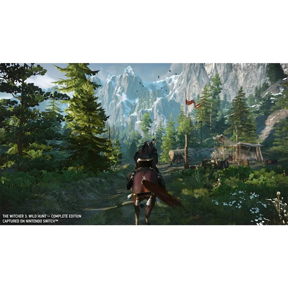 مطاردة Witcher 3 البرية لمفتاح نيتندوا ، الإصدار الكامل ، اللعبة ، الخرطوشة ، البطاقة المادية ، OLED Lite ، نيتنتندوا ، الصفقات ، الصفقات
