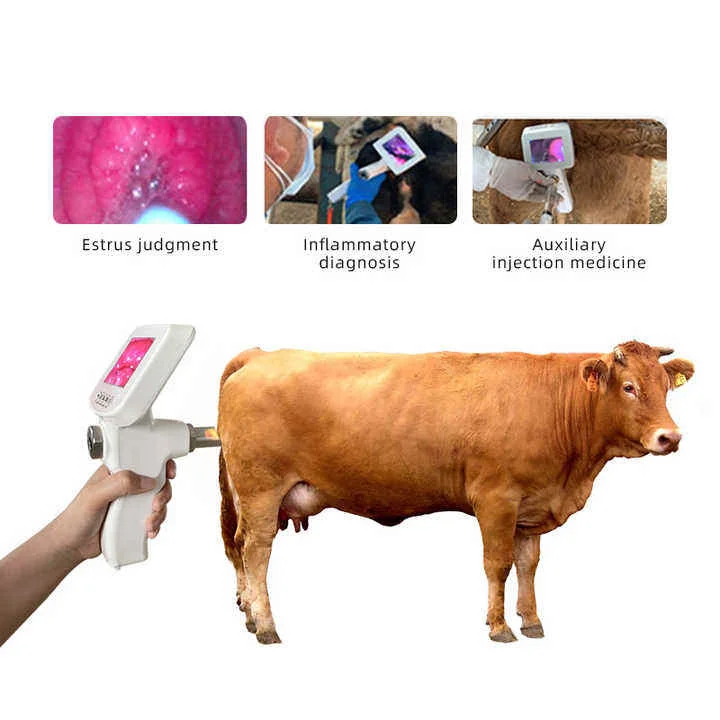 Original Stock Veterinary Visual Insemination Gun Cattle Dog Sheep Artificial Insemination Equipment Pistola De Inseminacion