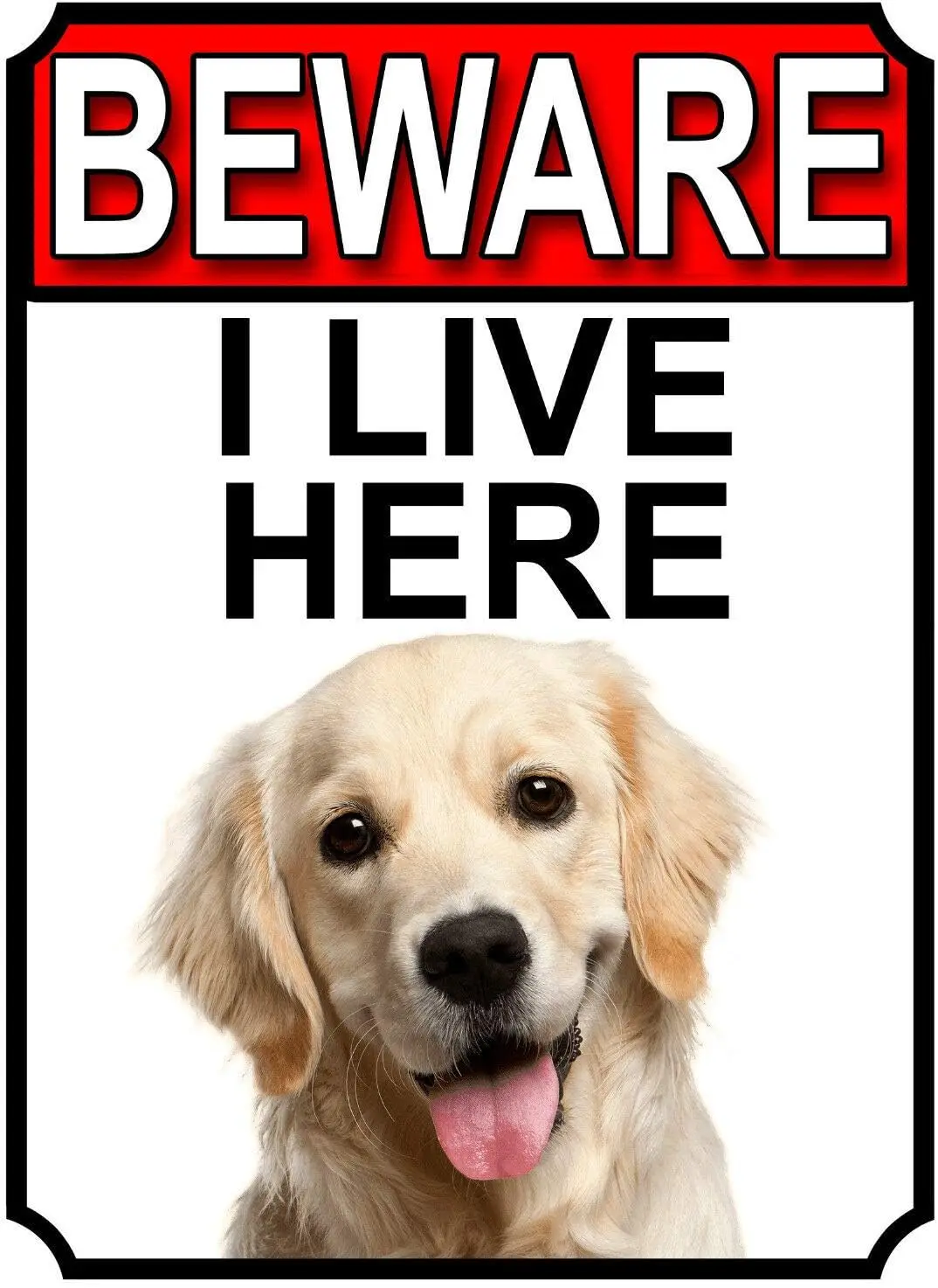 Golden Retriever Dog Breed Gate Signs Beware I Live Here Metal Tin Signs  Garden Yard Fence
